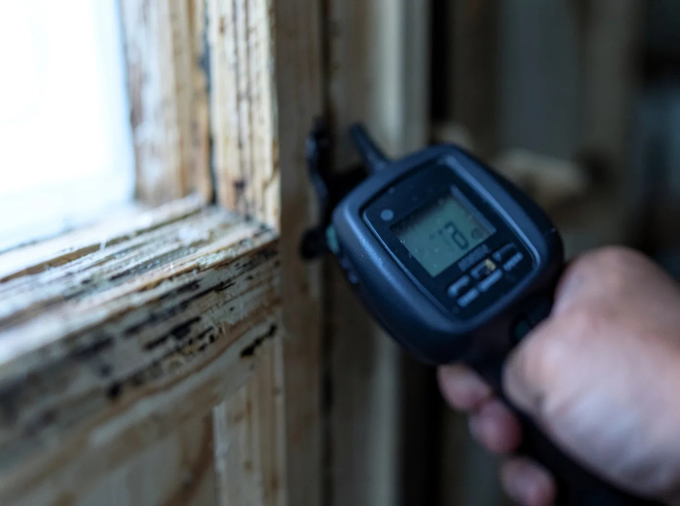 Moisture Inspection And Documentation in Osgood, OH